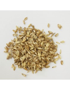 Kissen mit Dinkelspelzfüllung 2