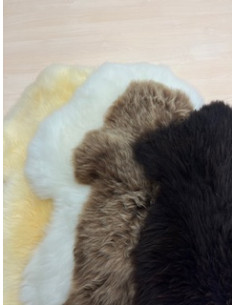 regionales Schaffell